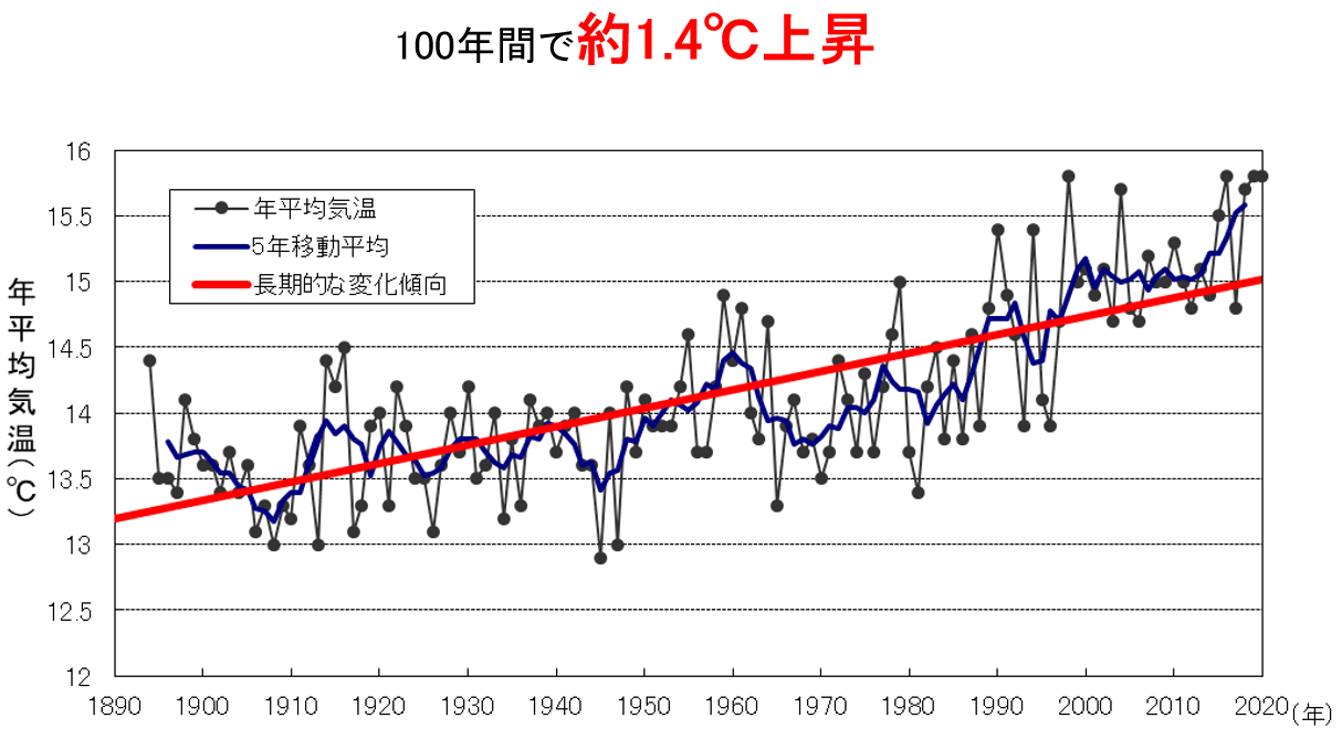 滋賀県の年平均気温の変化グラフ